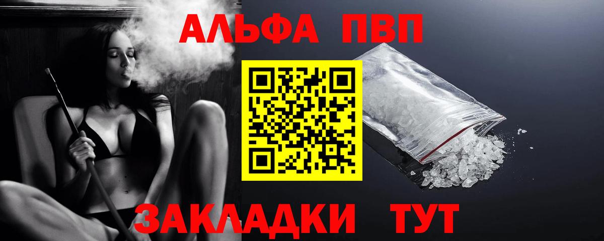 Альфа ПВП СК Новодвинск