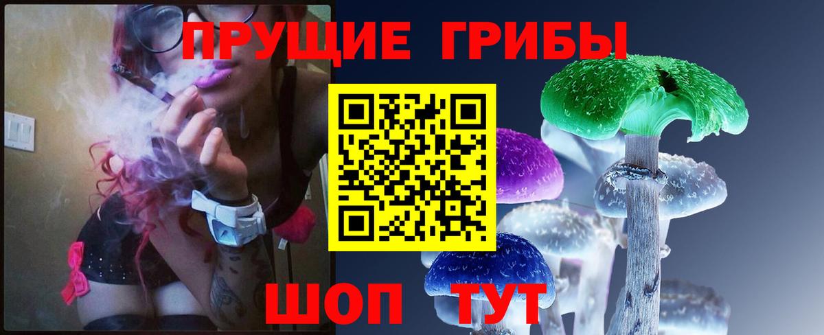 Новодвинск  Псилоцибиновые грибы Magic Shrooms  купить   Вход с VPN  Псилоцибиновые грибы GOLDEN TEACHER 
