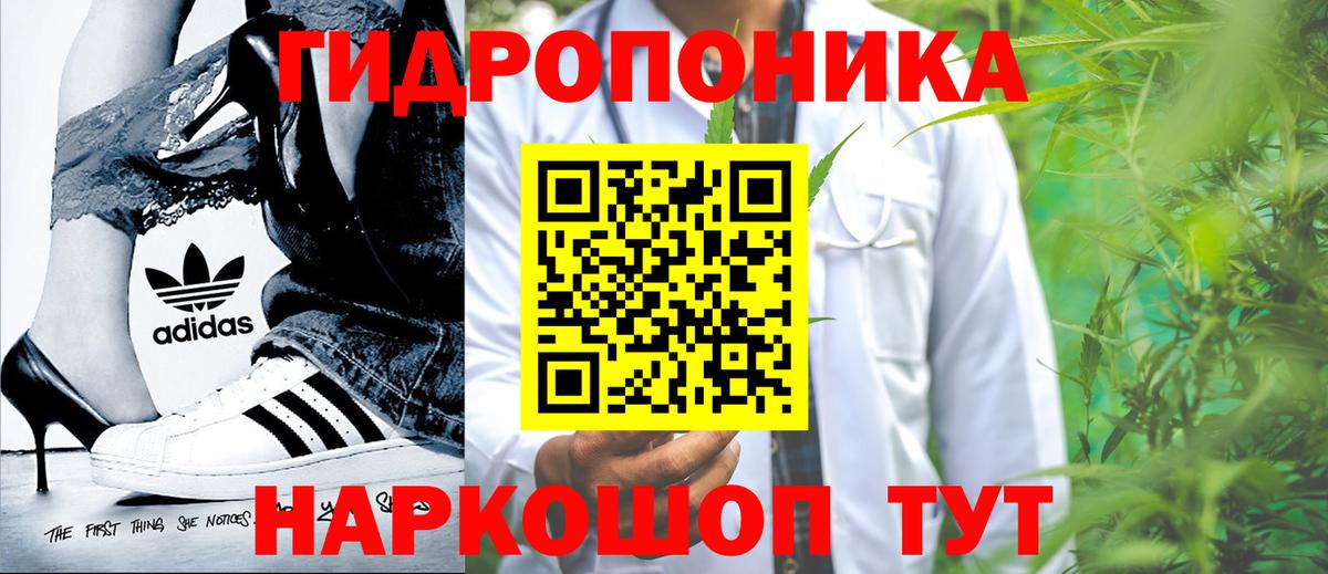 Марихуана планчик Новодвинск